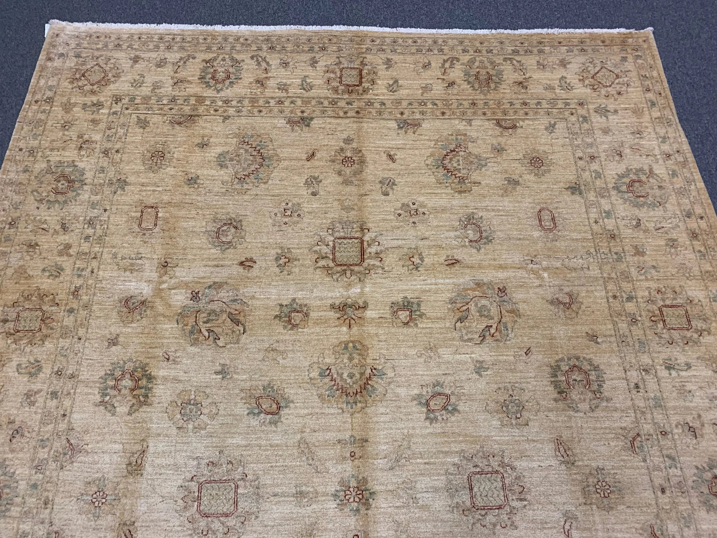 Ivory Chobi 8X12 Handmade Wool Rug # 8887