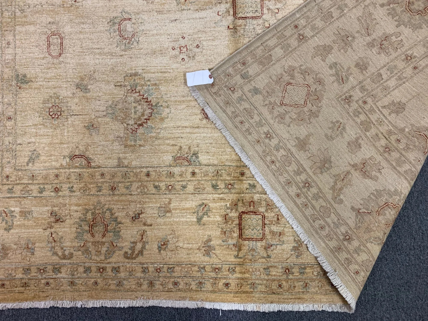 Ivory Chobi 8X12 Handmade Wool Rug # 8887