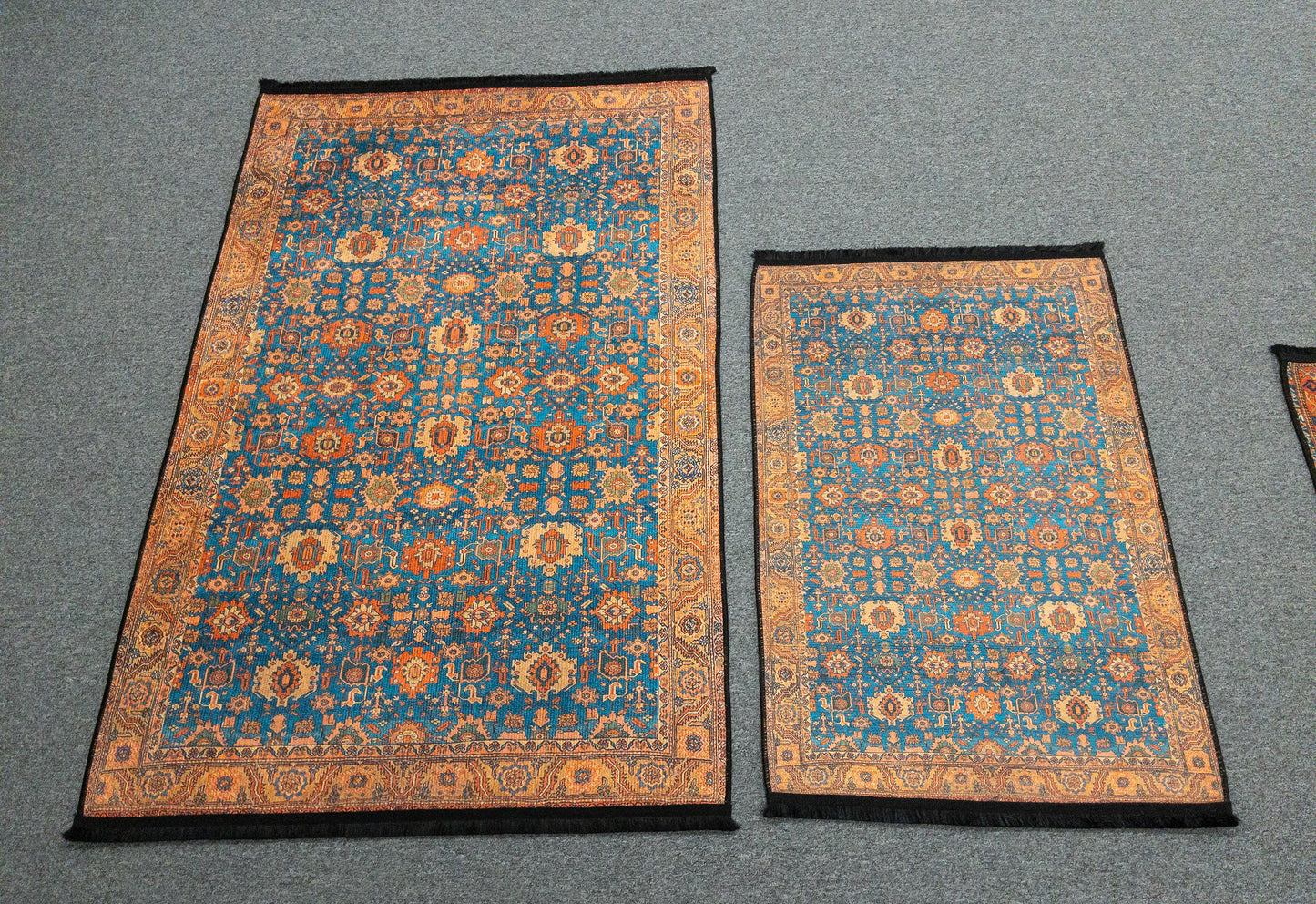 Light Blue Machine Washable Area Rug