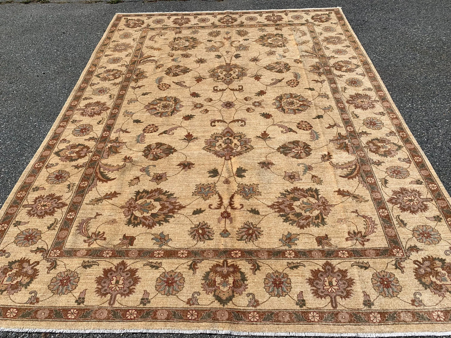 Ivory/Gold 8X11 Chobi Ziegler Handmade Wool Rug # 7975