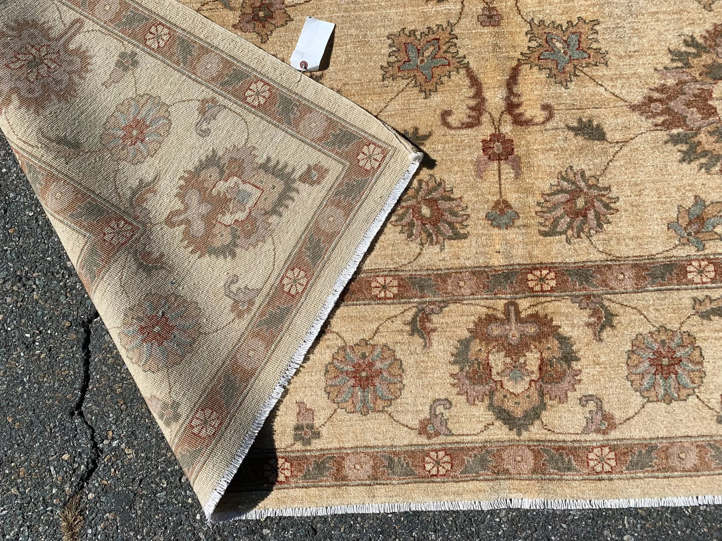 Ivory/Gold 8X11 Chobi Ziegler Handmade Wool Rug # 7975