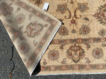 Ivory/Gold 8X11 Chobi Ziegler Handmade Wool Rug # 7975