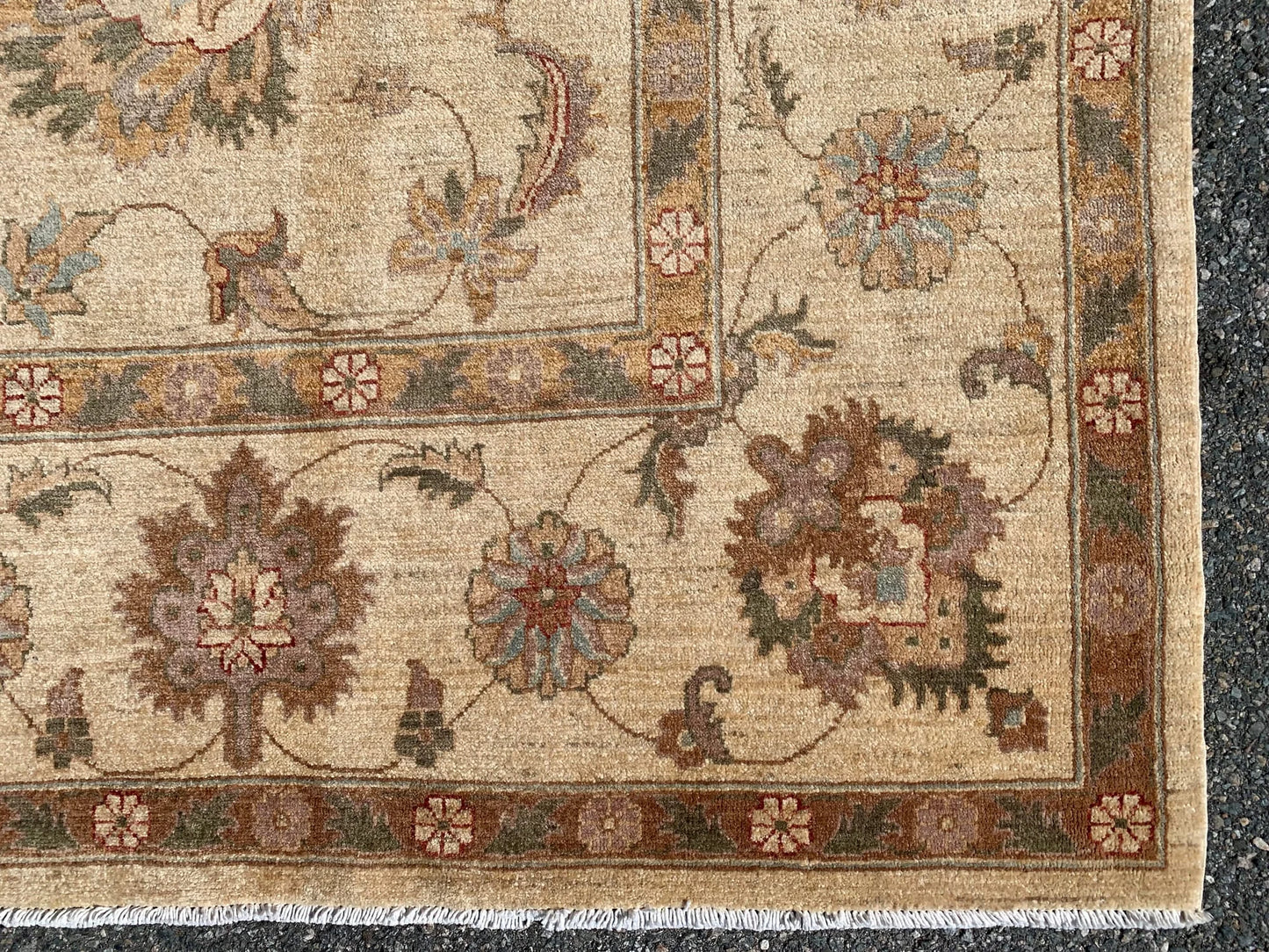 Ivory/Gold 8X11 Chobi Ziegler Handmade Wool Rug # 7975
