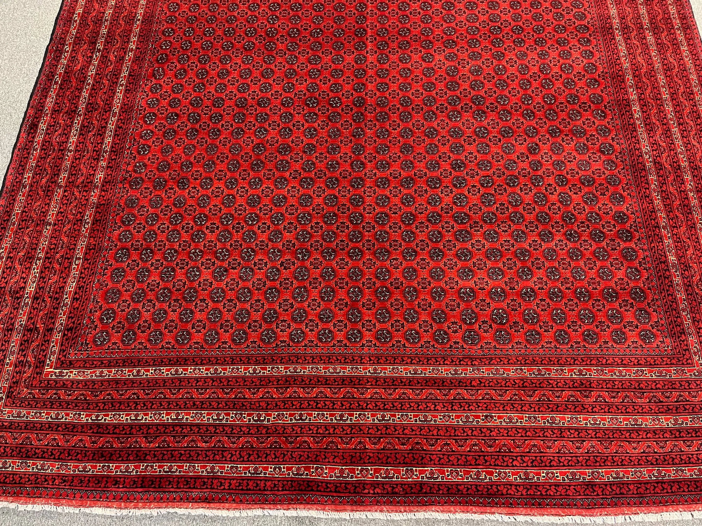 Afghan Turkmen Khoja Roshnai 10X13 Handmade Wool Rug # 13252