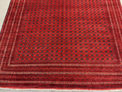 Afghan Turkmen Khoja Roshnai 10X13 Handmade Wool Rug # 13252