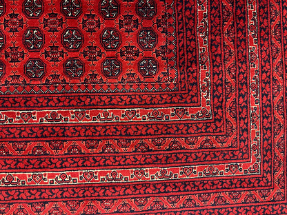 Afghan Turkmen Khoja Roshnai 10X13 Handmade Wool Rug # 13252