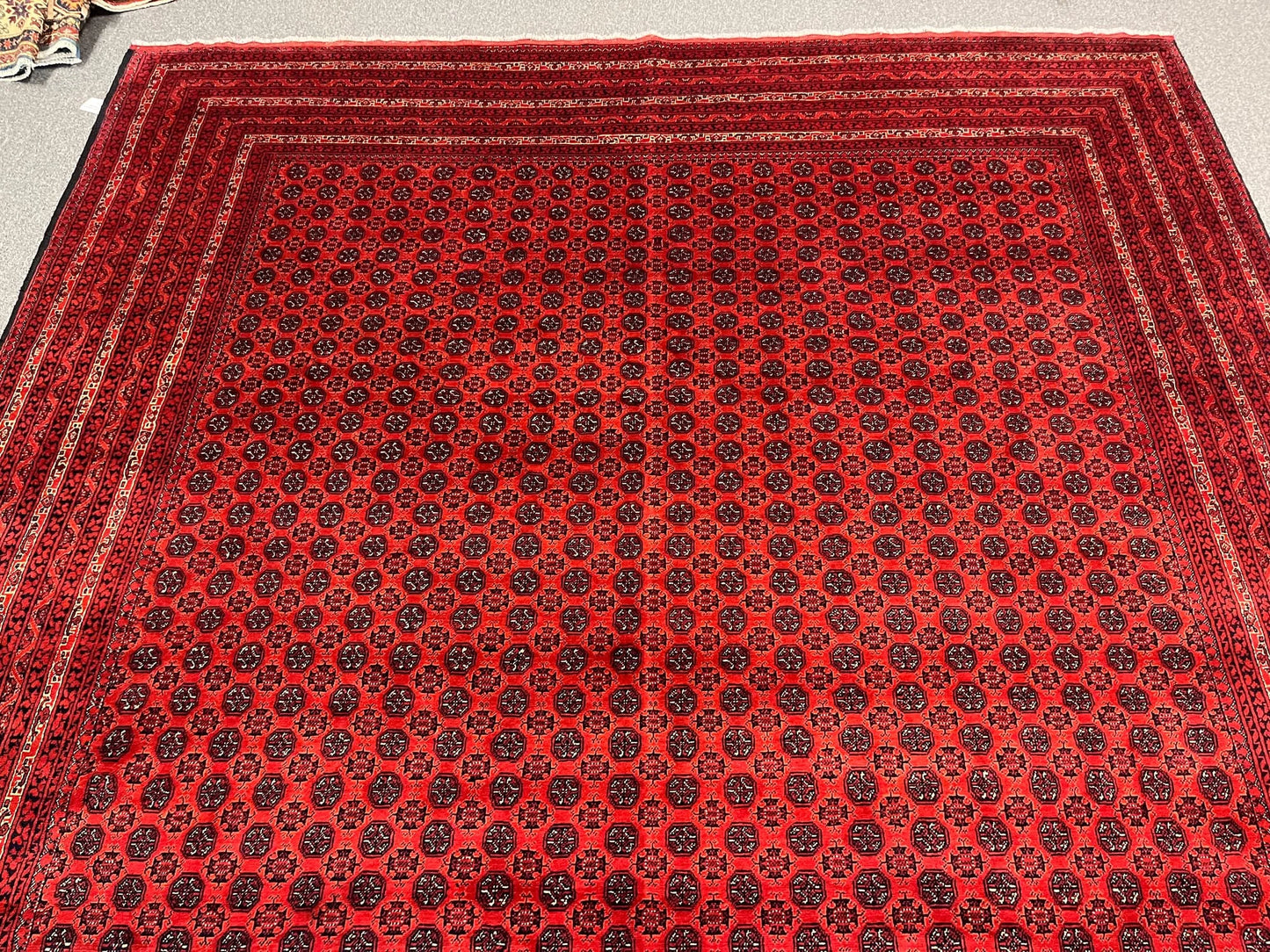 Afghan Turkmen Khoja Roshnai 10X13 Handmade Wool Rug # 13252