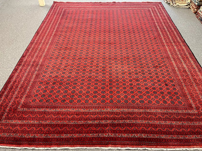 Afghan Turkmen Khoja Roshnai 10X13 Handmade Wool Rug # 13252