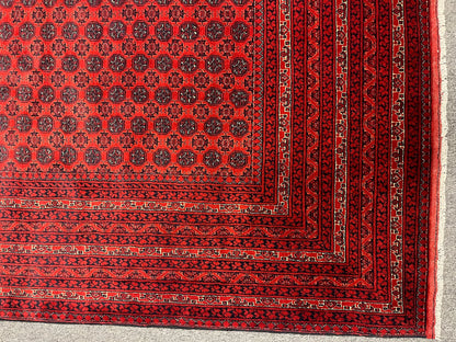 Afghan Turkmen Khoja Roshnai 10X13 Handmade Wool Rug # 13252