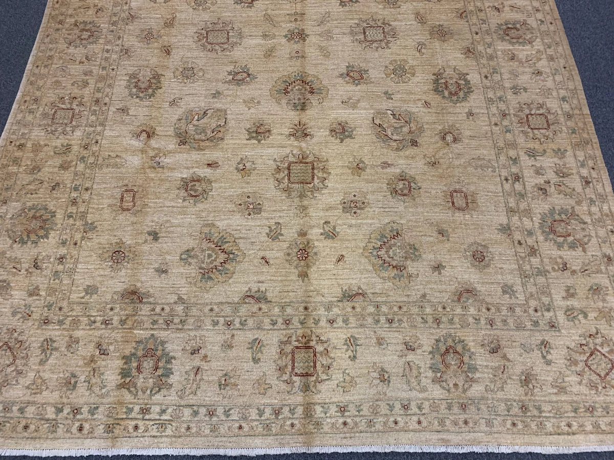 Elegant Ivory Chobi 8x12 Handmade Wool Rug # 8887