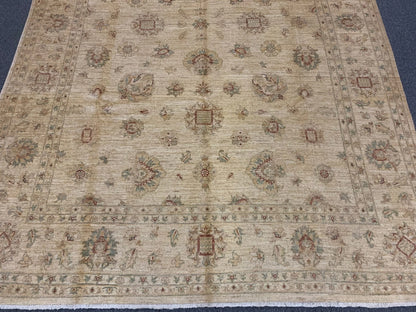 Elegant Ivory Chobi 8x12 Handmade Wool Rug # 8887