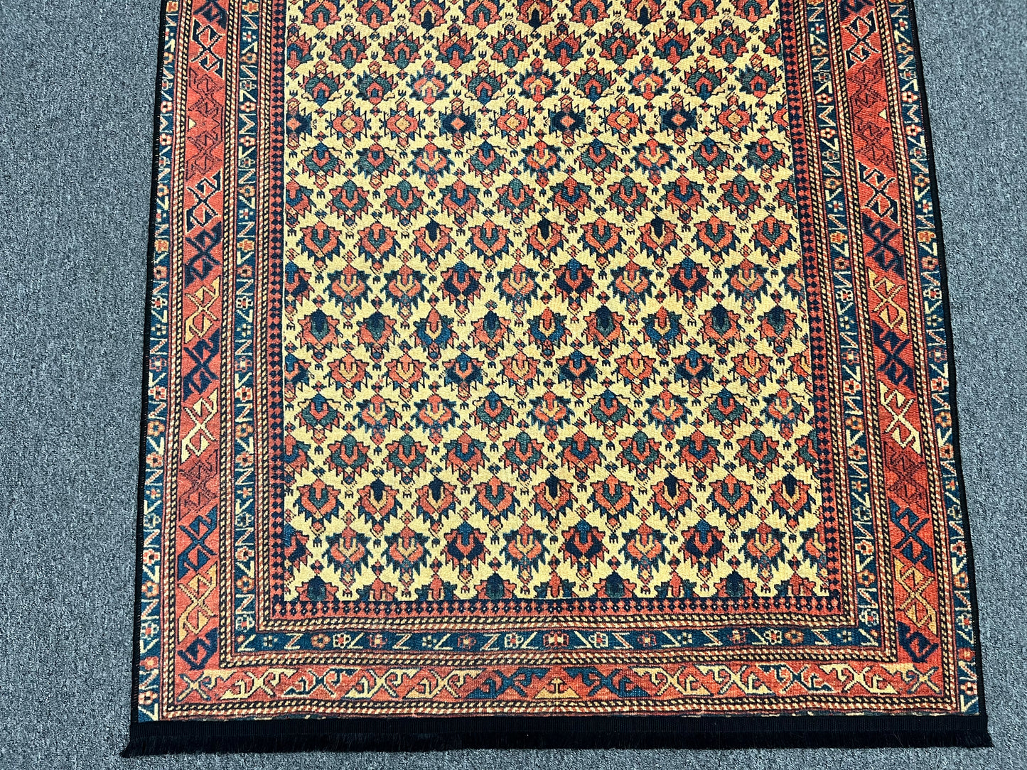 Geometric Machine Washable Area Rug