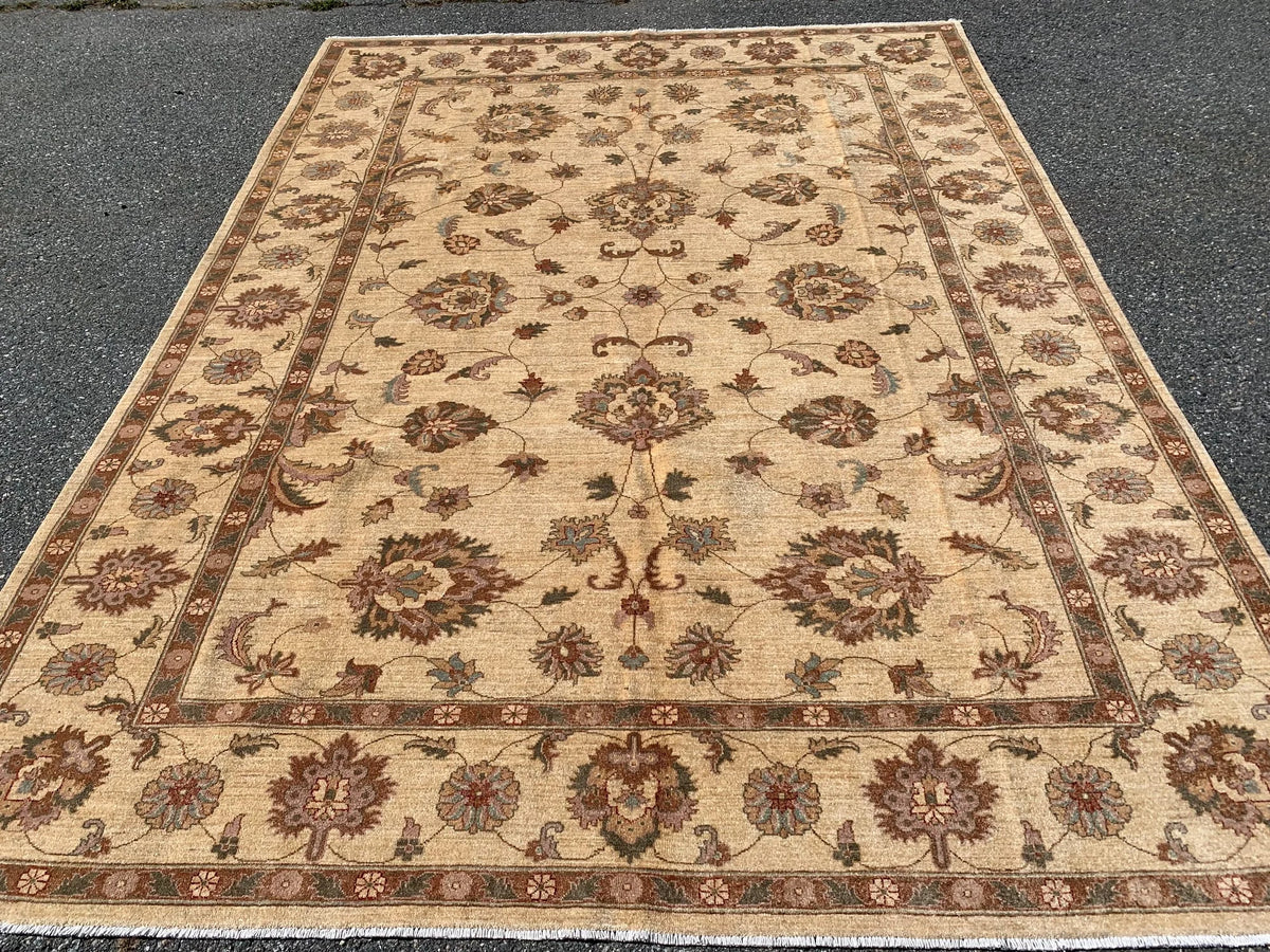 Ivory & Gold Chobi Ziegler 8x11 Handmade Wool Rug # 7975